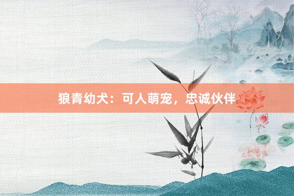狼青幼犬：可人萌宠，忠诚伙伴